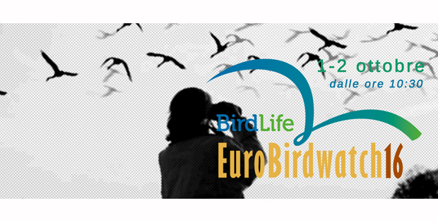 EUROBIRDWATCHING 2016