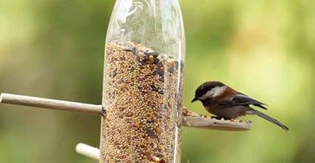 Mangiatoia con bottiglia di plastica  per uccelli