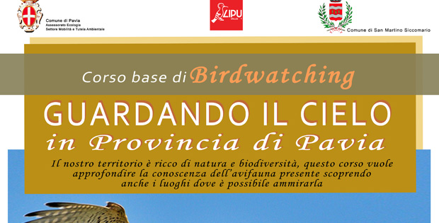 Corso base di birdwatching: guardando il cielo in provincia di Pavia