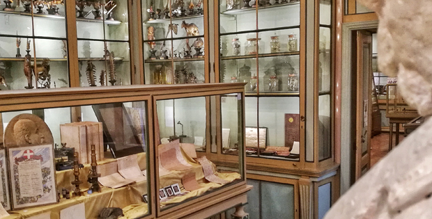 Foto che ritrae le vetrine con i reperti storici nelle sale del museo