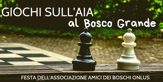 una foto con due pedine degli scacchi sullo sfondo del Bosco