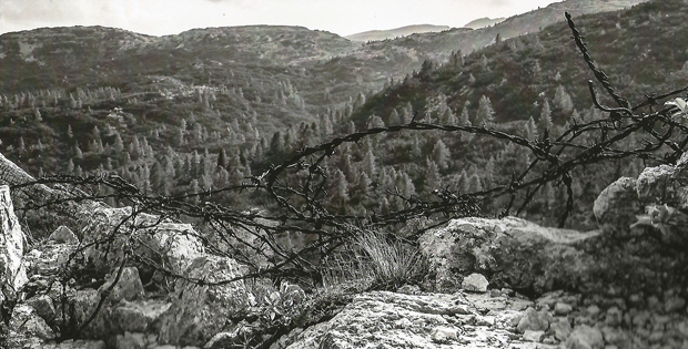 fotografia in biqanco e nero di un paesaggio con filo spinato