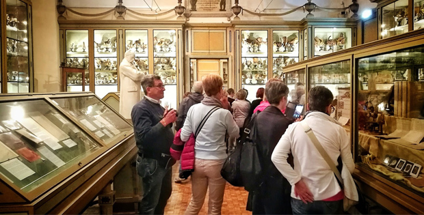 Visitatori contemplano reperti storici nella sala del museo