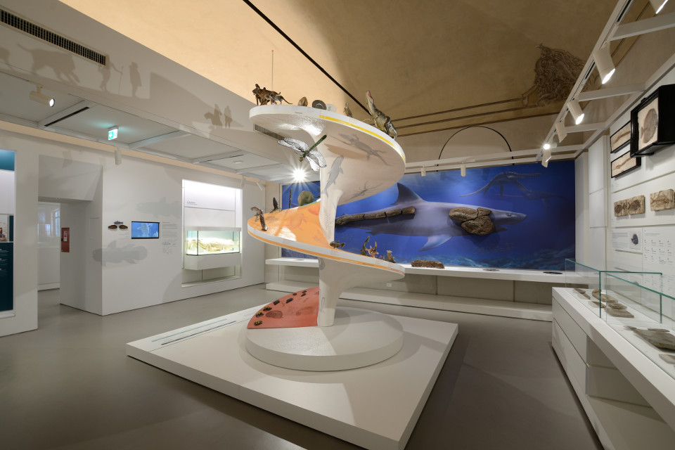 Kosmos - Museo di storia naturale dell’Università di Pavia