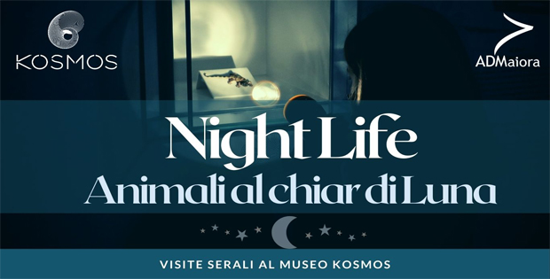 Nightlife - Animali al chiar di Luna