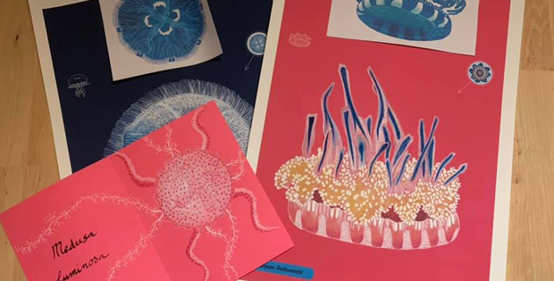 alcuni disegni a tema le meduse