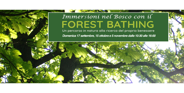 Immersioni di Bosco con il Forestbathing