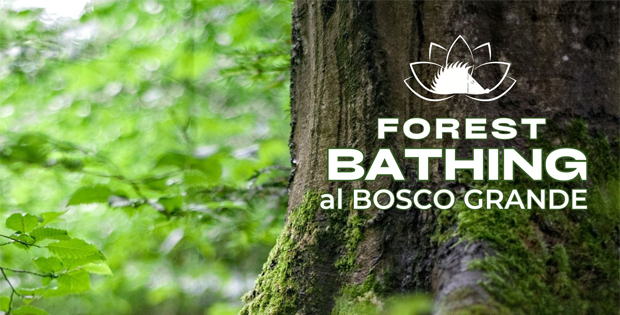 Forest Bathing al Bosco Grande